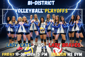 bi district