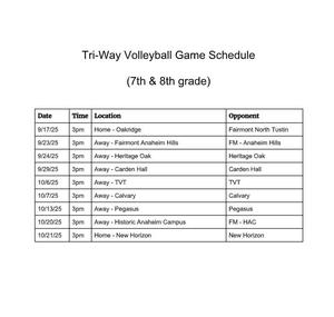 Triway volleyball