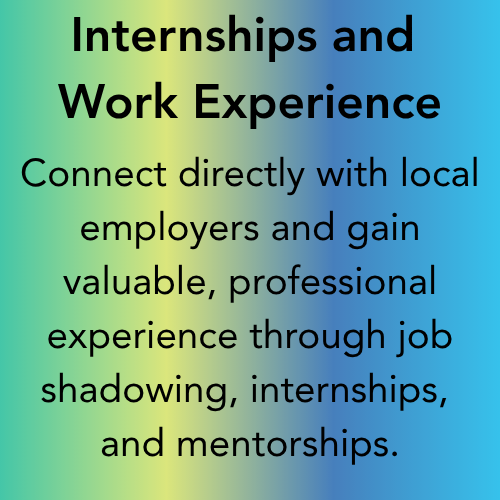 Internships and Work Experience