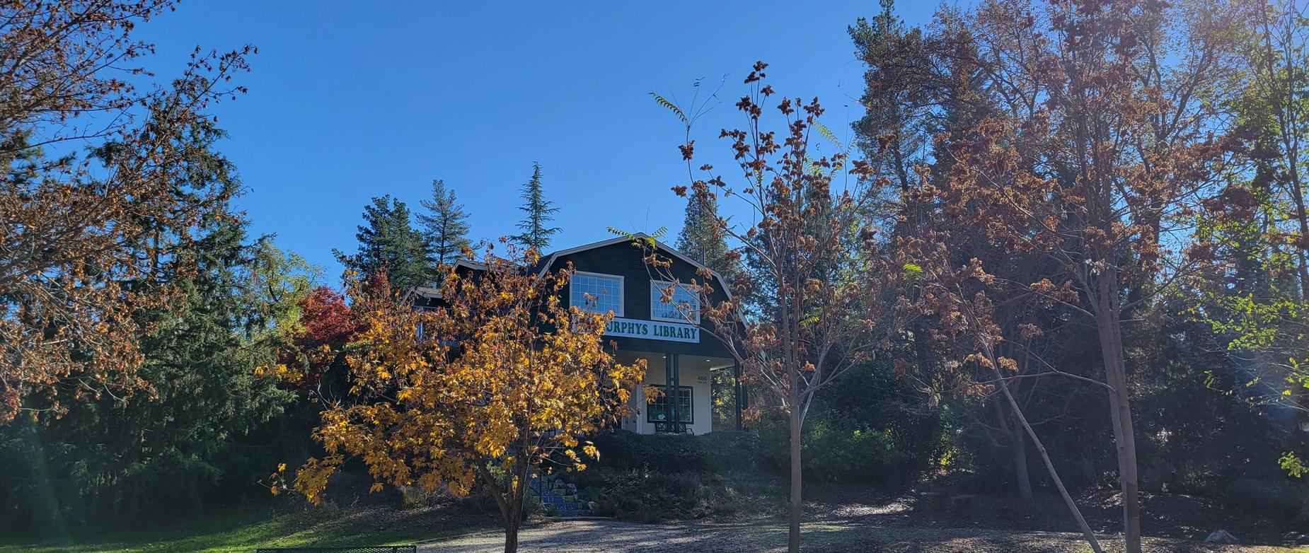 library building with fall colored trees