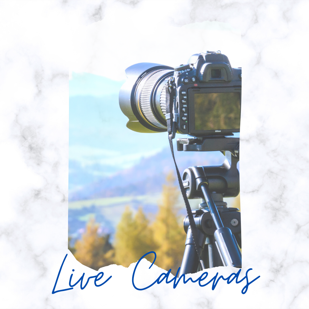 Live Cameras