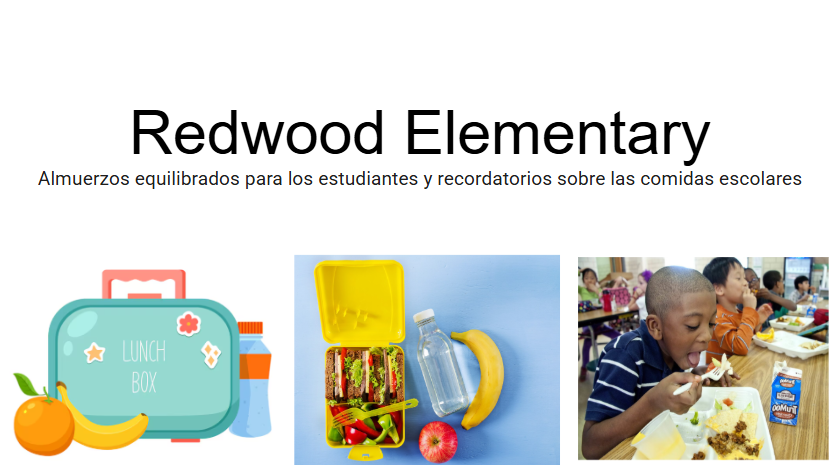 Redwood Lunch