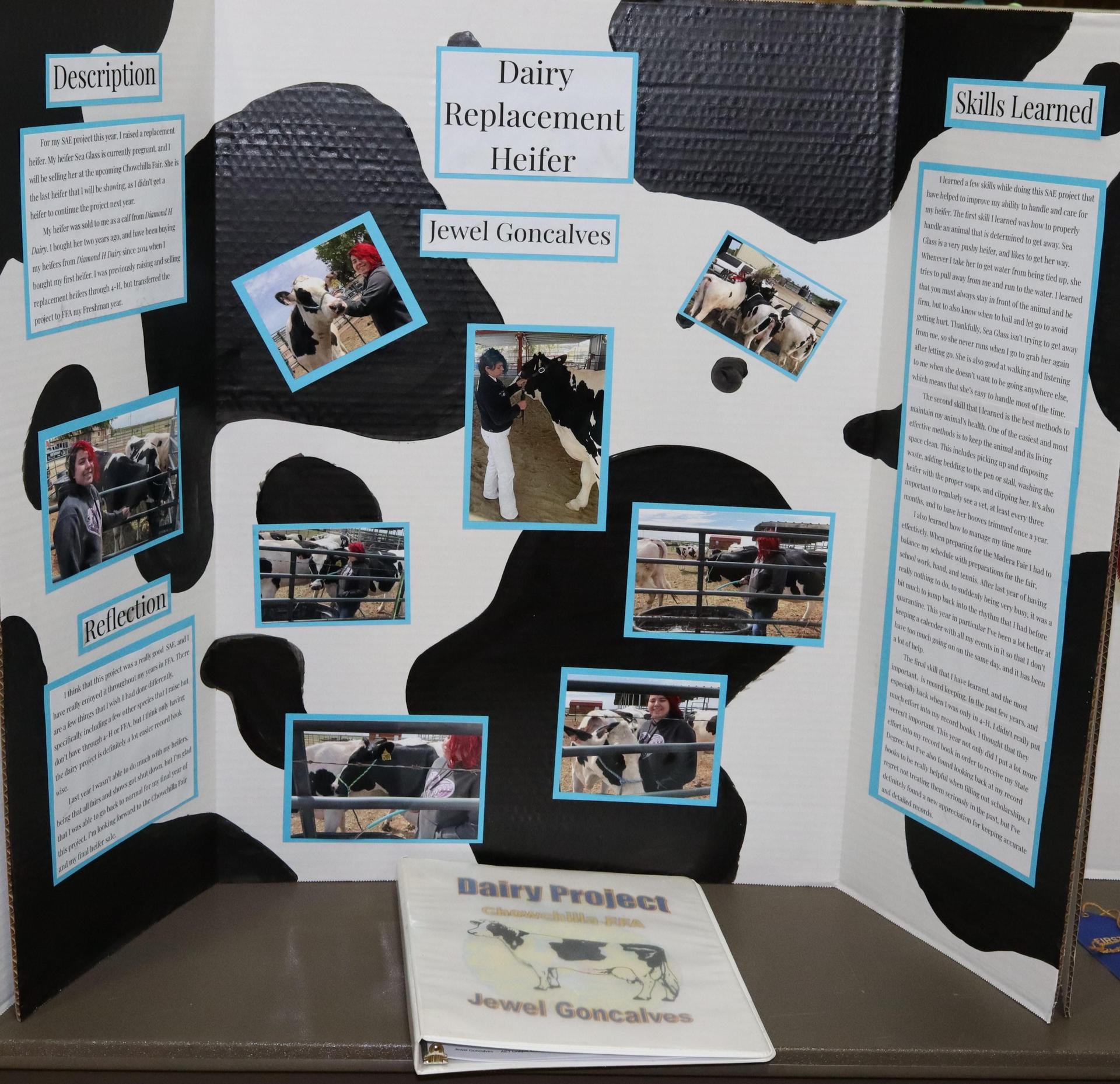 A Supervised Agricultural Experience trifold display