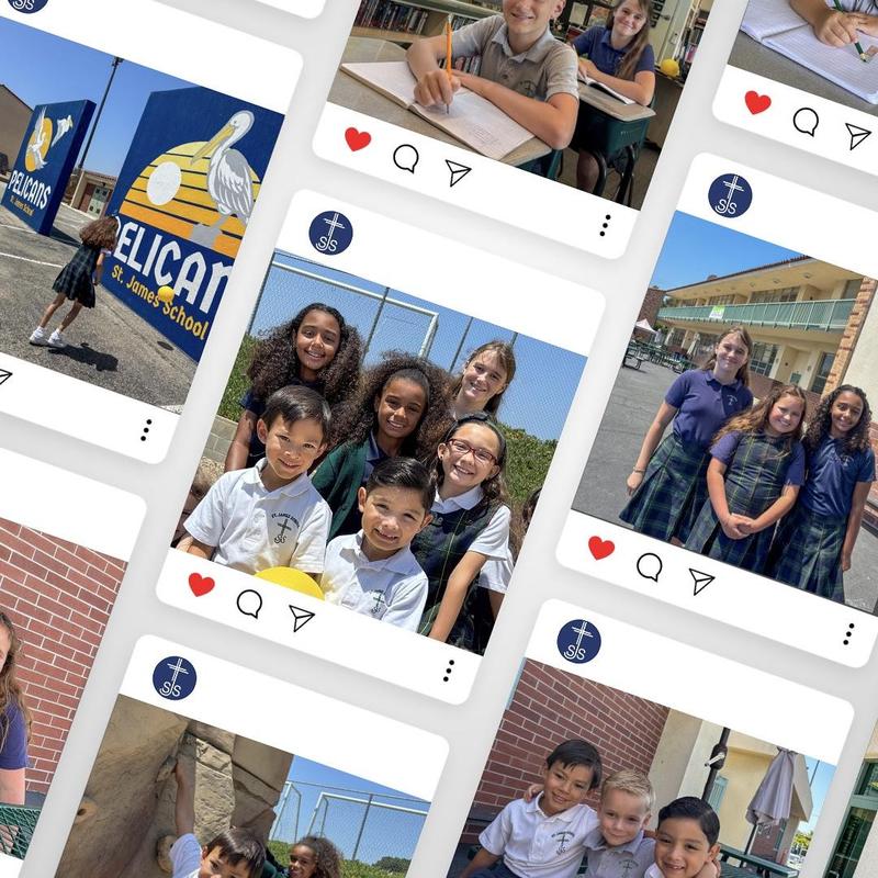 Website and Social Updates Featured Photo