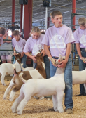 State Fair
