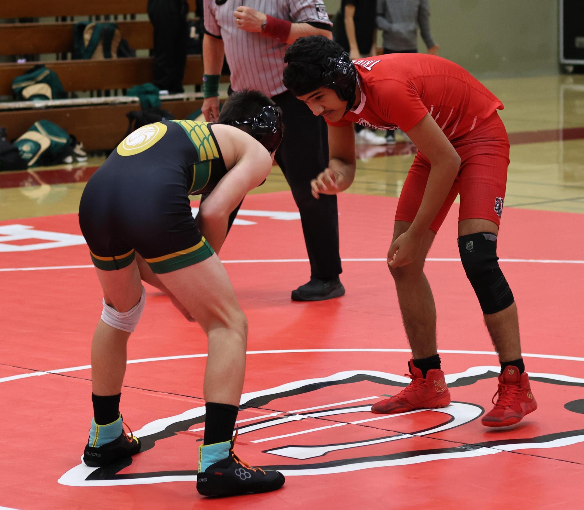 wrestling against yosemite