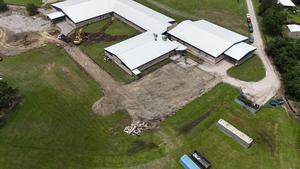 DJI_20260605135222_0049_D.JPG