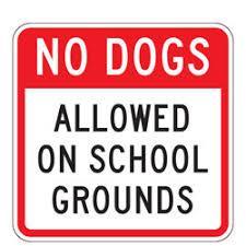 No Dogs on Campus