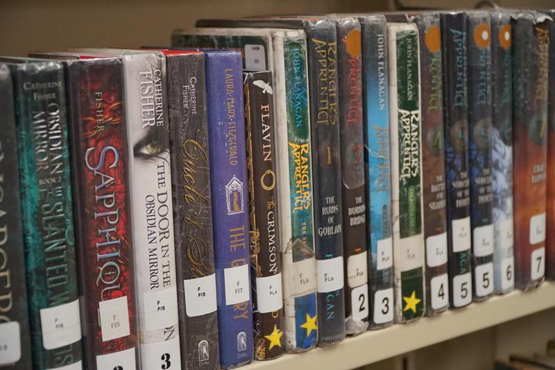 Books on a bookshelf