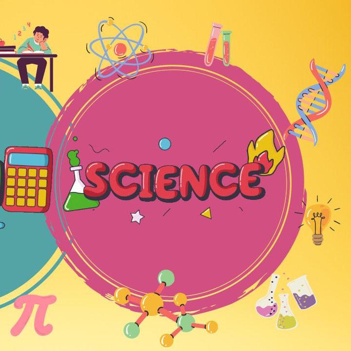 MonicaMurray's Profile Photo