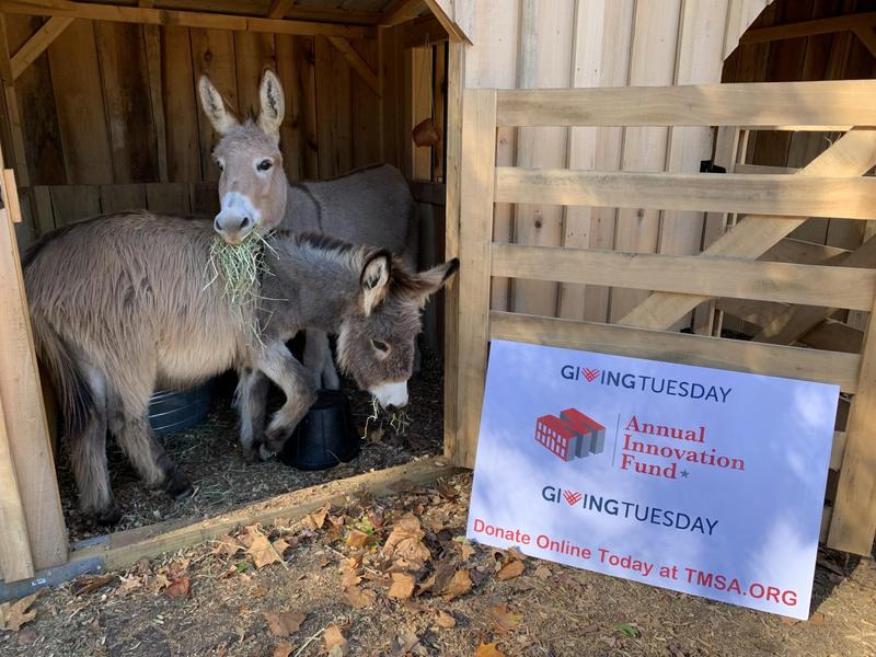 Support STEAM, Agriculture, and Career Innovation at TMSA on Giving Tuesday – December 2 Featured Photo