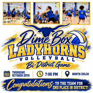 Dime Box Ladyhorns Bi-District Volleyball Game.png