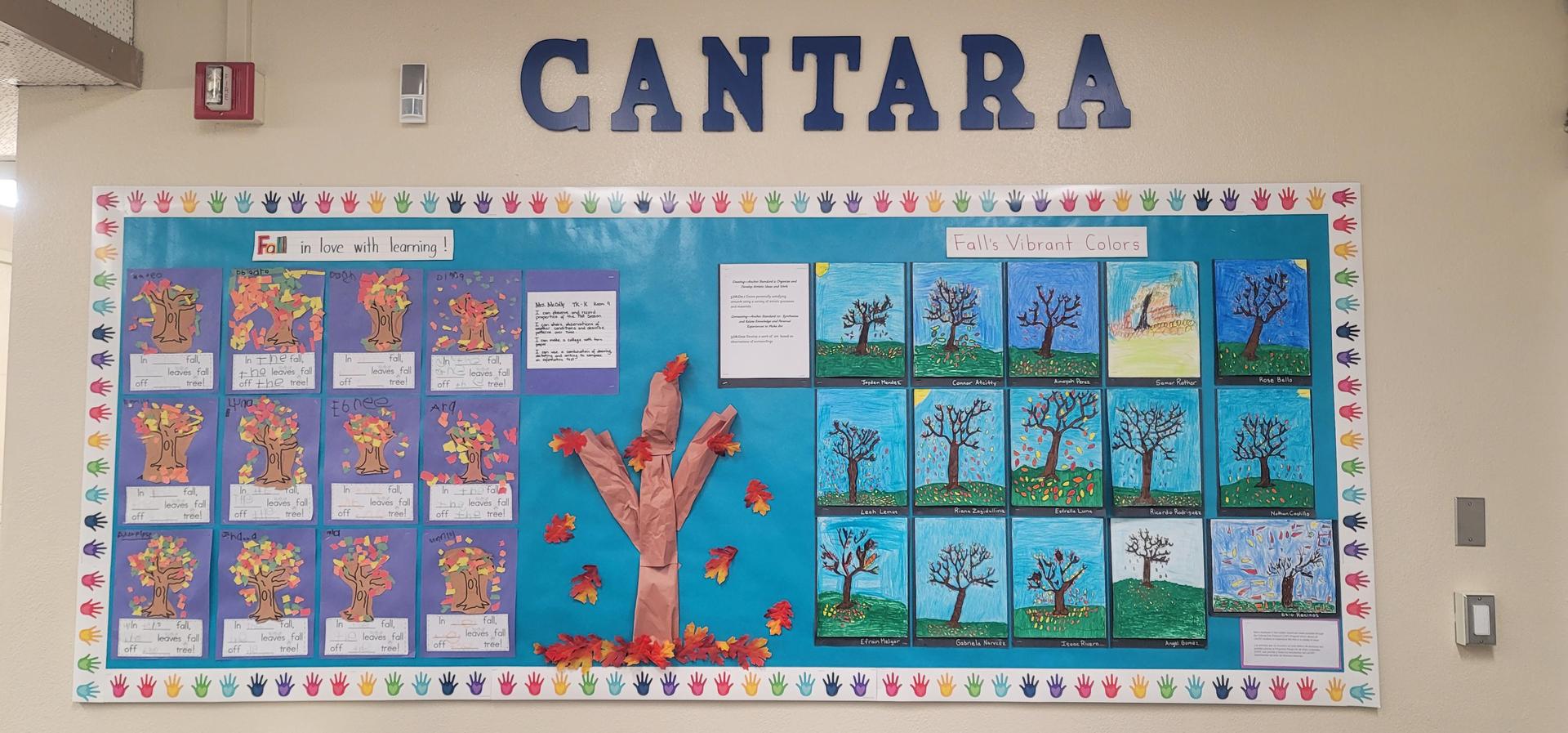 Office Bulletin Board 3rd grade