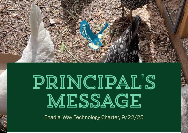 Principal' Message Featured Photo