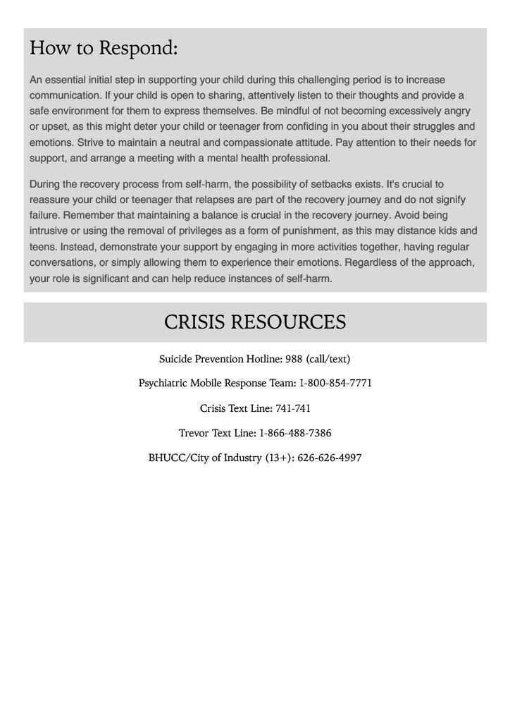 RUSD Crisis Assessment