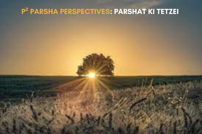 P² Parsha Perspectives: Parshat Ki Tetzei