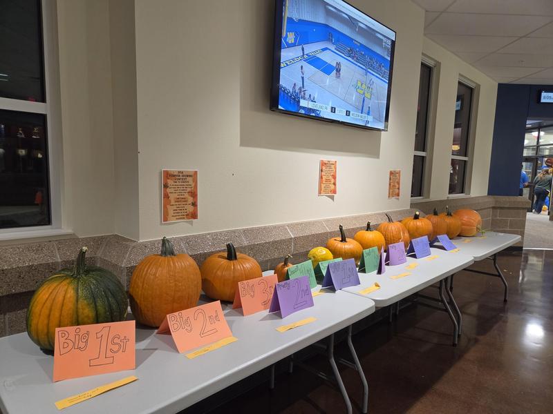 Pumpkins on table being displayed with awards.