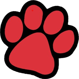 SharonBush's Profile Photo