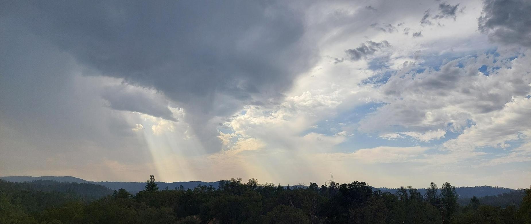 sun streaking through rain clouds above pine tree tops
