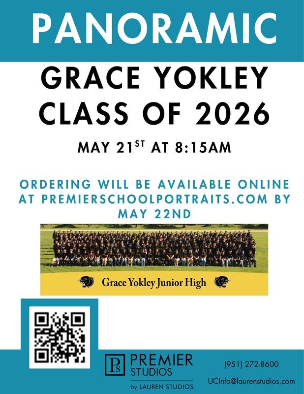 Panoramic Picture Flyer