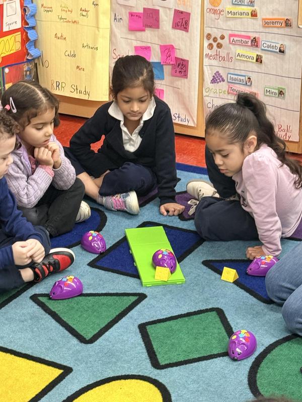 Students observing the purple mouse and cheese
