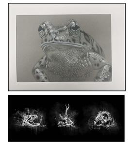 Art work for California SISC 2026 Symposium  Art Exhibit!