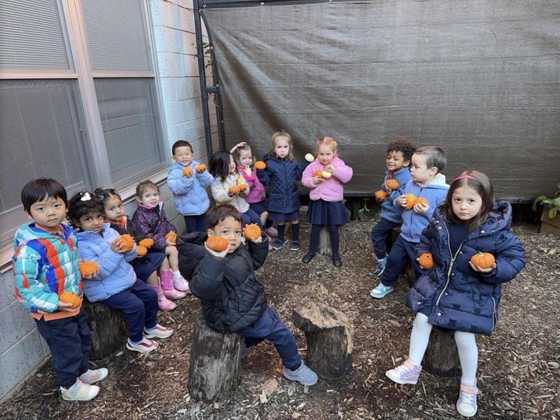 Prek Pumpkin Patch Featured Photo