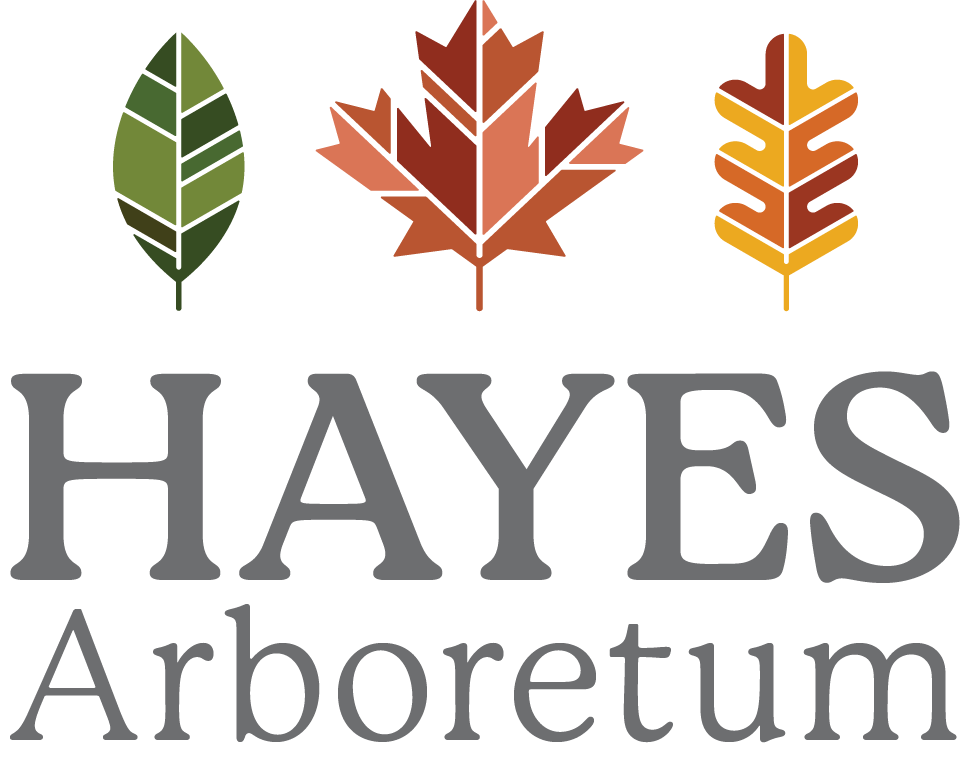 hayes arboretum link