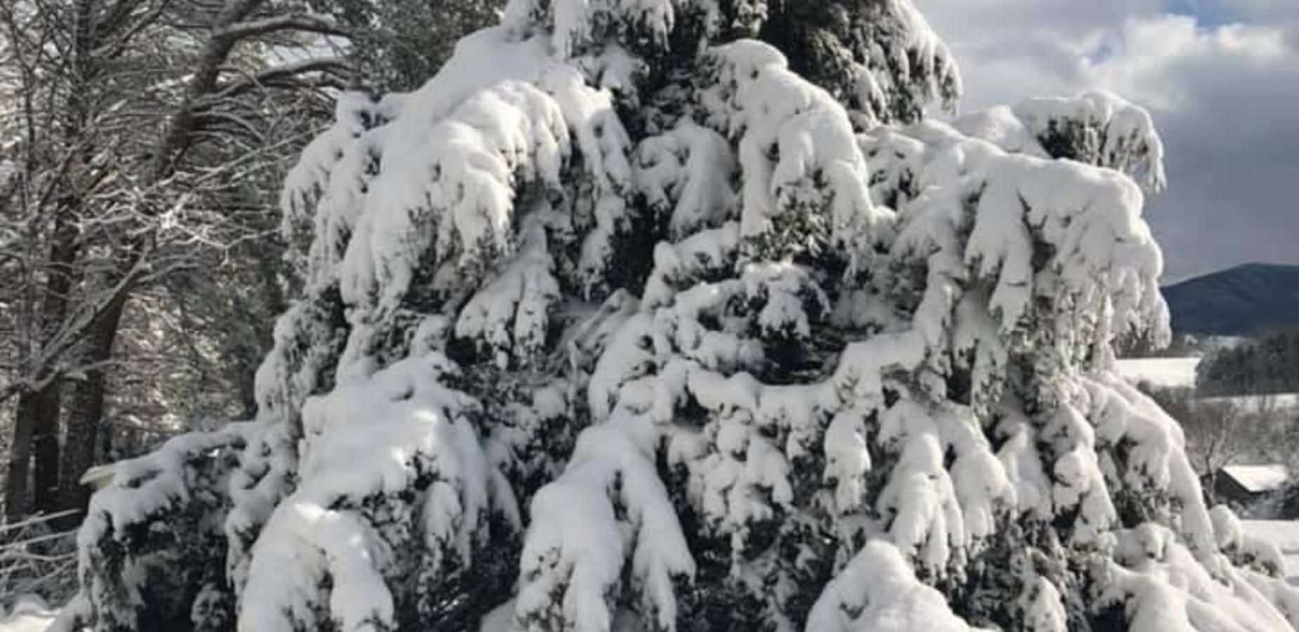 December Snow