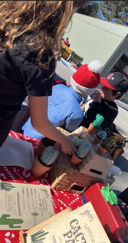 Picture of a fair table with crocheted cactus and succulent plants for sale