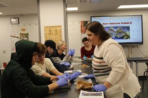 teacher talking to two male students while students look at dissected sheep heart