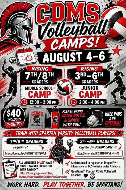 Volleyball Camp