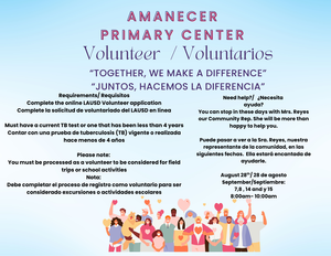 Volunteer Flyer