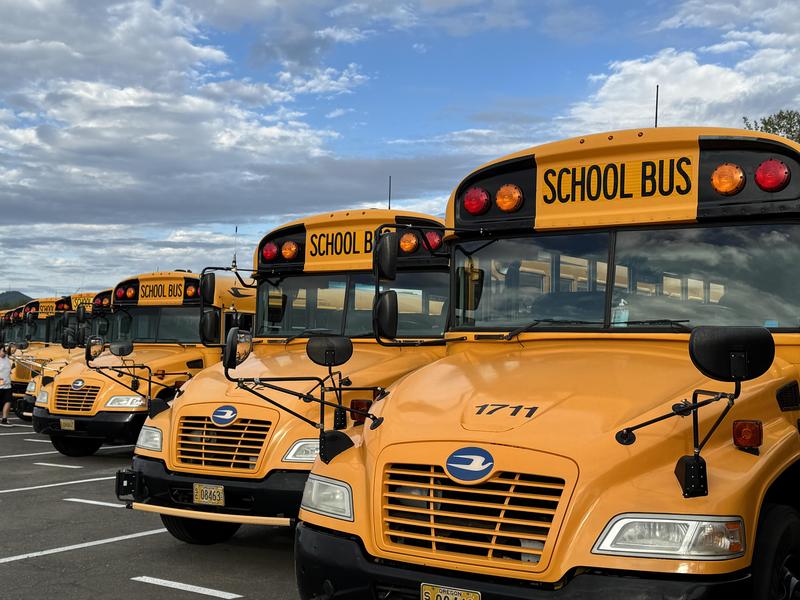 several school busses lined up next to each other with blue skies in the background