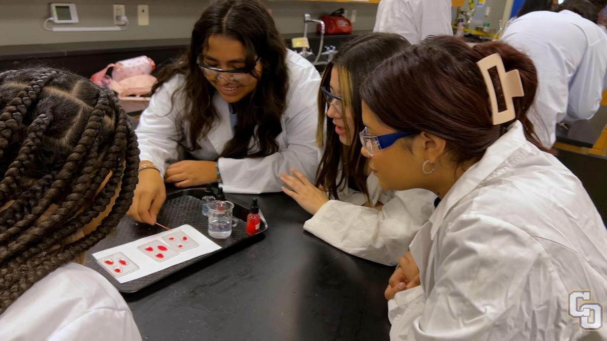 Students performing science experiment