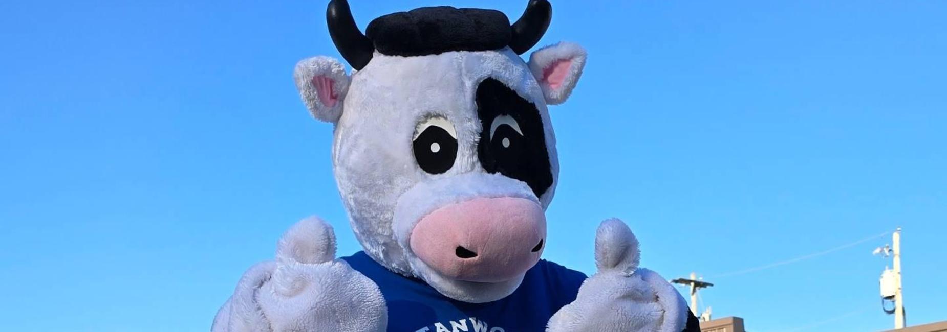 cow mascot