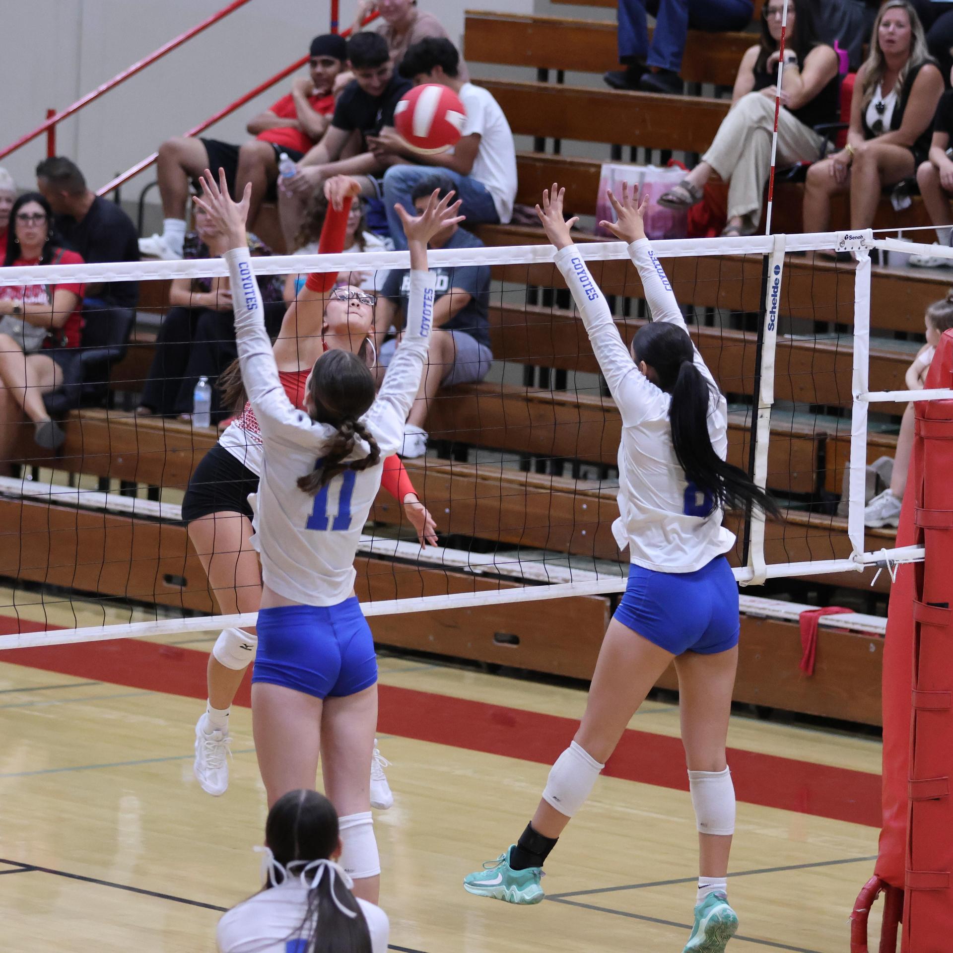 Varsity girls Volleyball playing vs. Madera 27