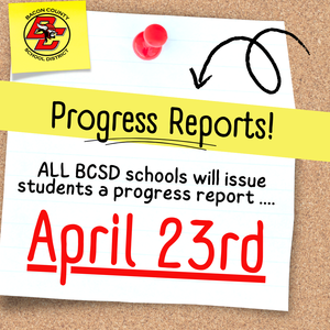 progress reports