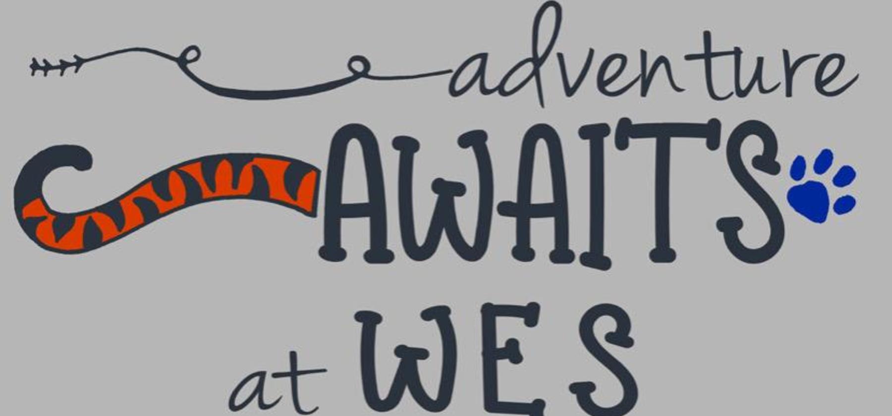 WES t-shirt logo