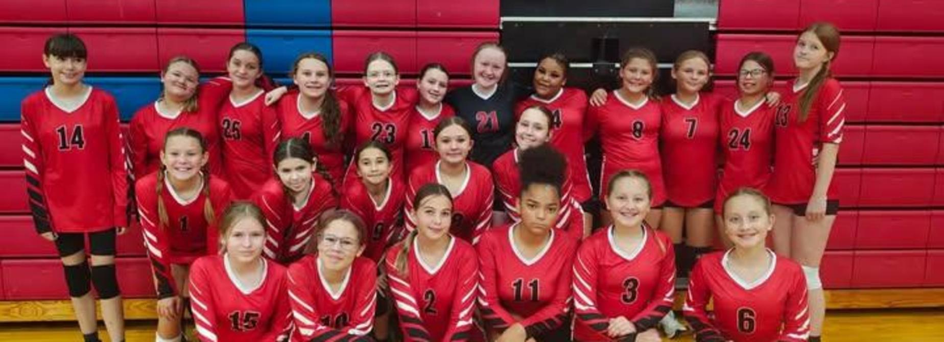 Volleyball team