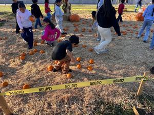 Lopez Pumpkin Patch photos for news story