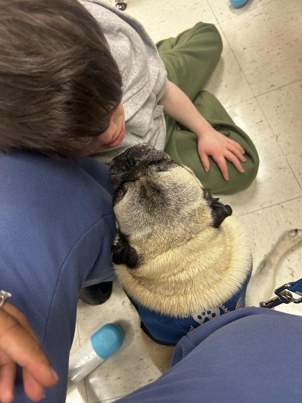 Student sits on the floor and pets a therapy dog during a classroom visit.
