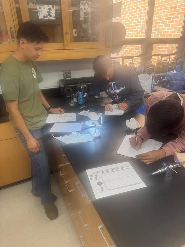 Zoology students doing their own research