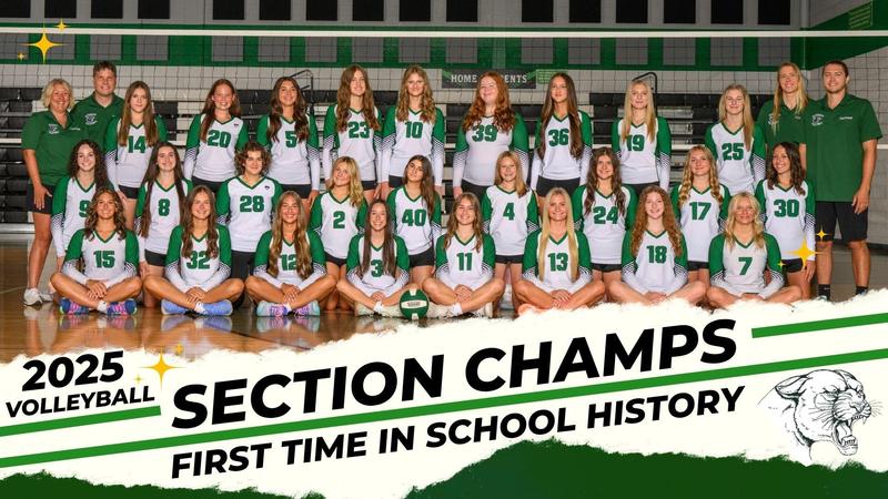 Volleyball Team Victory Graphic