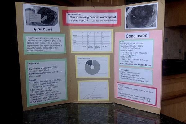 Photo on 11-4-18 at 2.08 PM.jpg