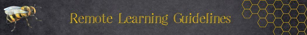 Remote Learning Guidelines