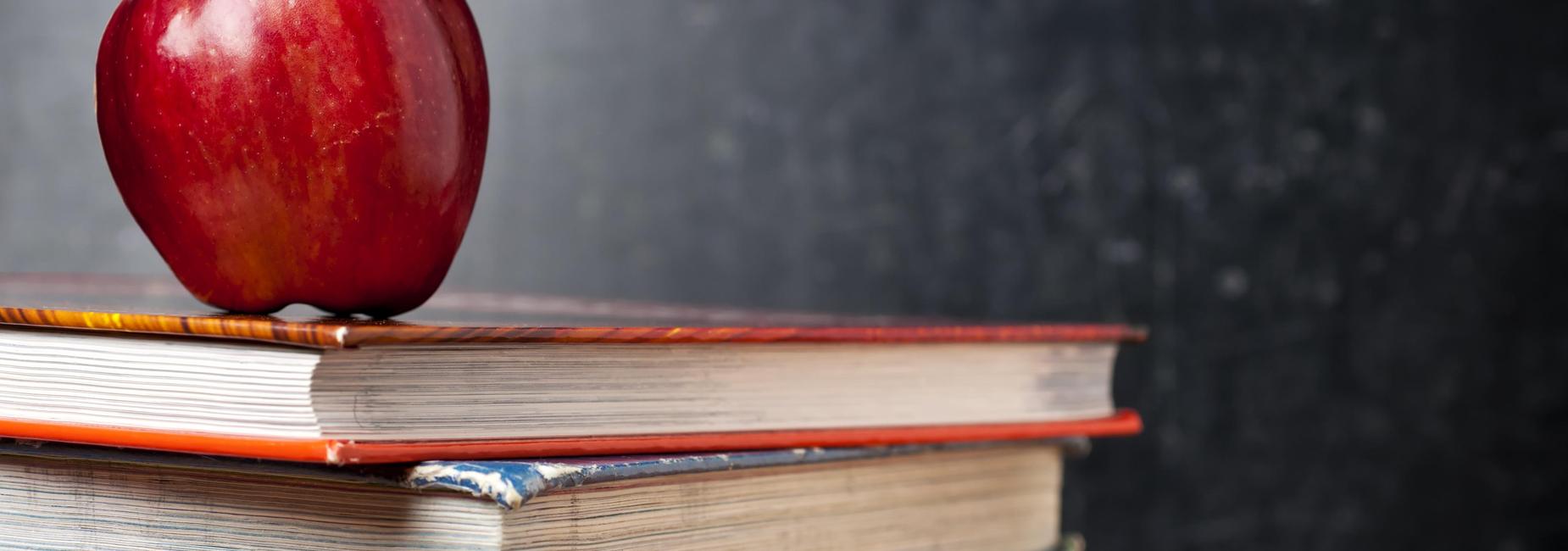 This is a picture of two different books on a table in a room, with an apple sitting on top of the books. Please take care of your teacher, and help them to turn your child into a book of life filled with positive wisdom. Each book, just like each person, is different. Let you child be the best selling book.