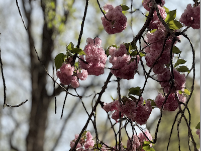 Admissions Update! Featured Photo