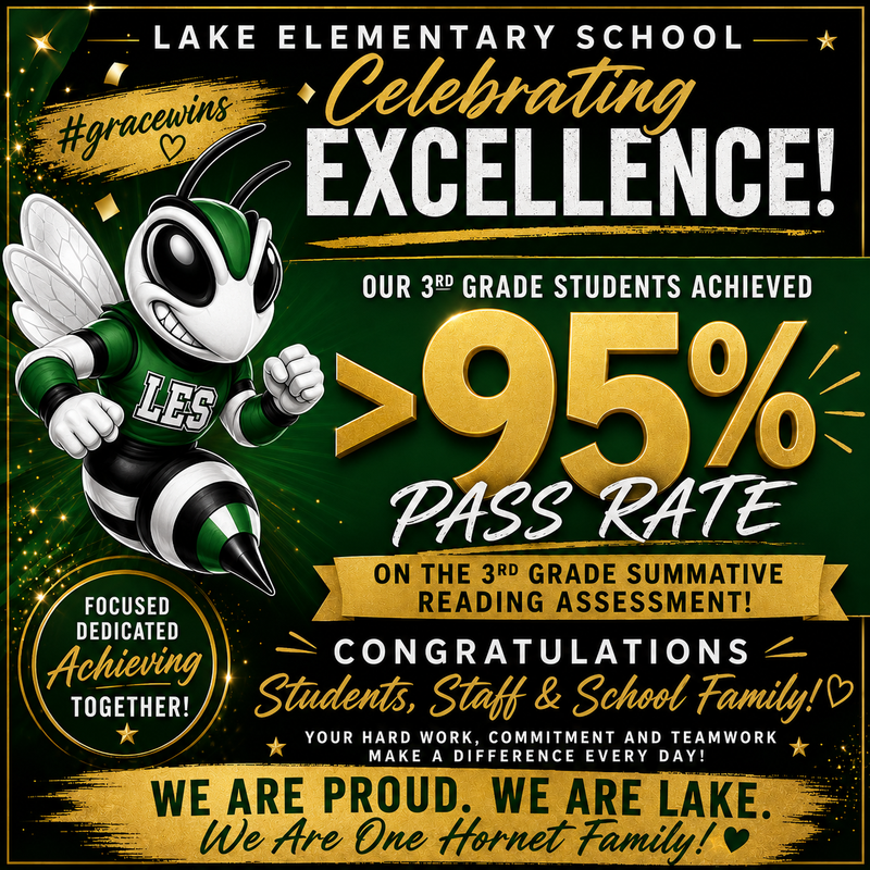 3rd Grade Students Excel