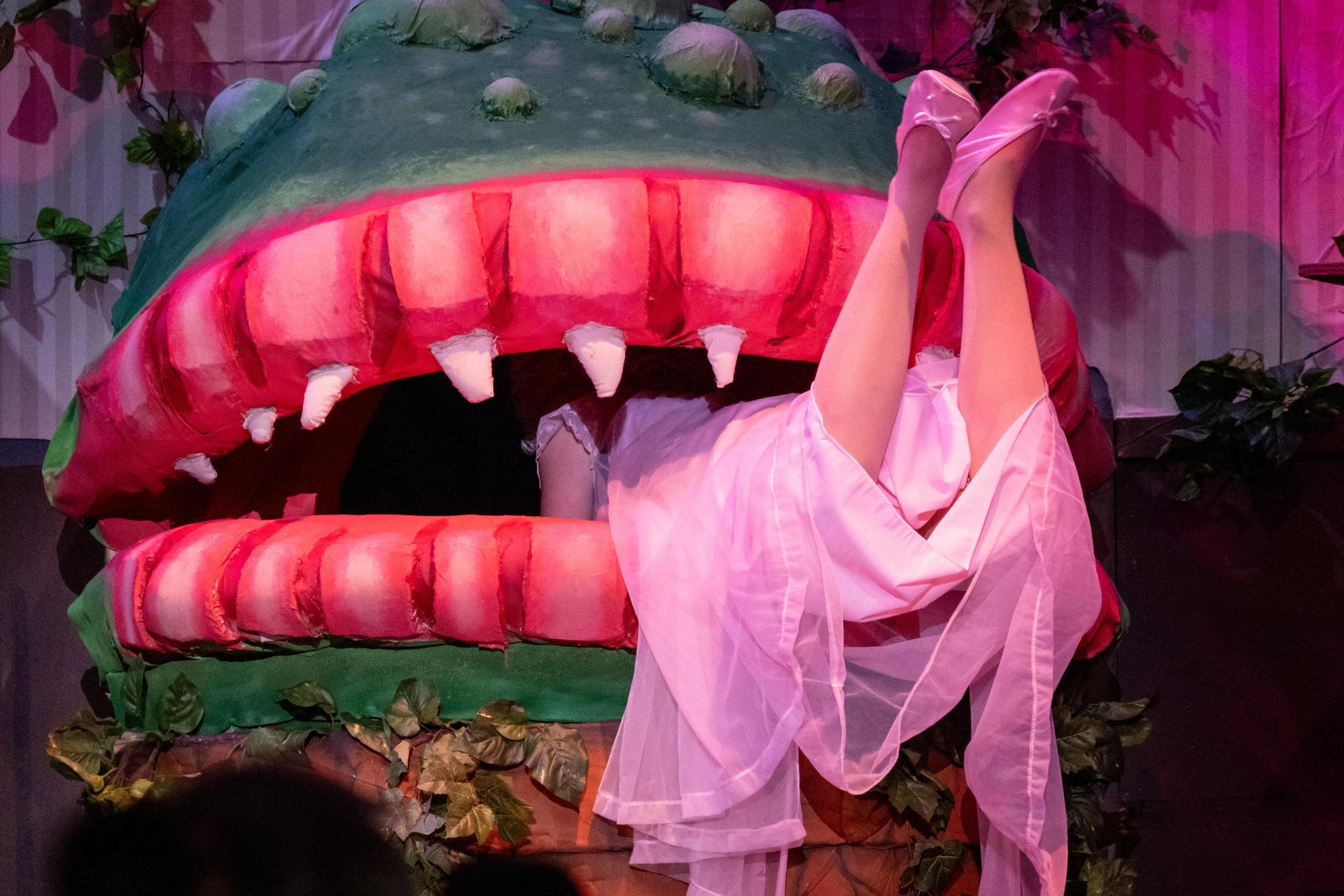 A scene from Little Shop of Horrors
